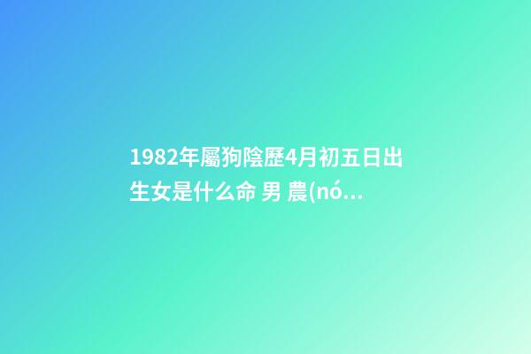 1982年屬狗陰歷4月初五日出生女是什么命 男 農(nóng)歷1982年4月初5早晨6點左右出生 算命